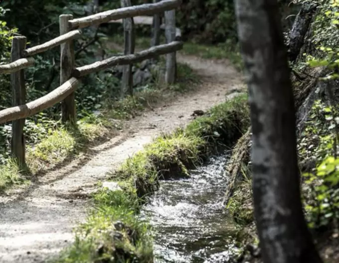 Wanderweg mit Holzgeländer entlang des Waals